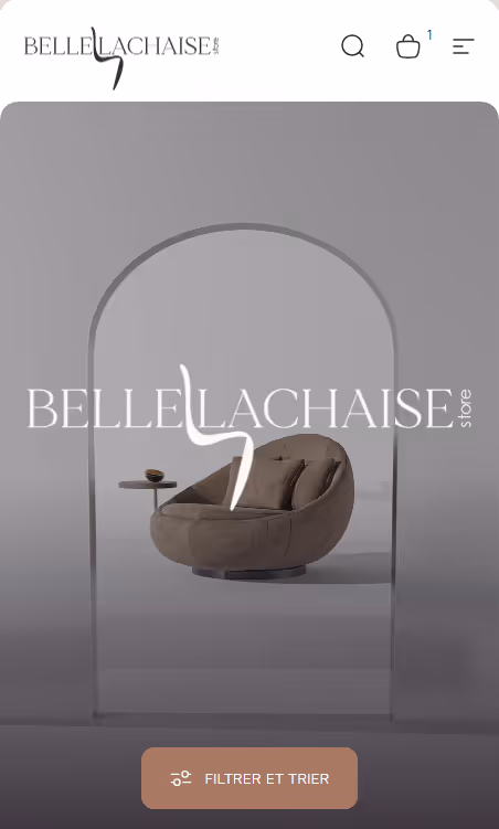 Placeholder Image Bellelachaise project