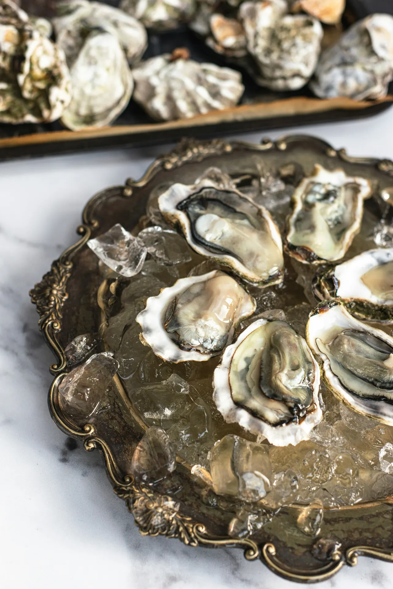 Tray of oysters photographed with glossy editorial detail.